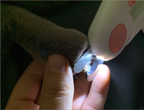 The Daily Clip: LED Illuminated Safety Trimmer for Cats & Pups